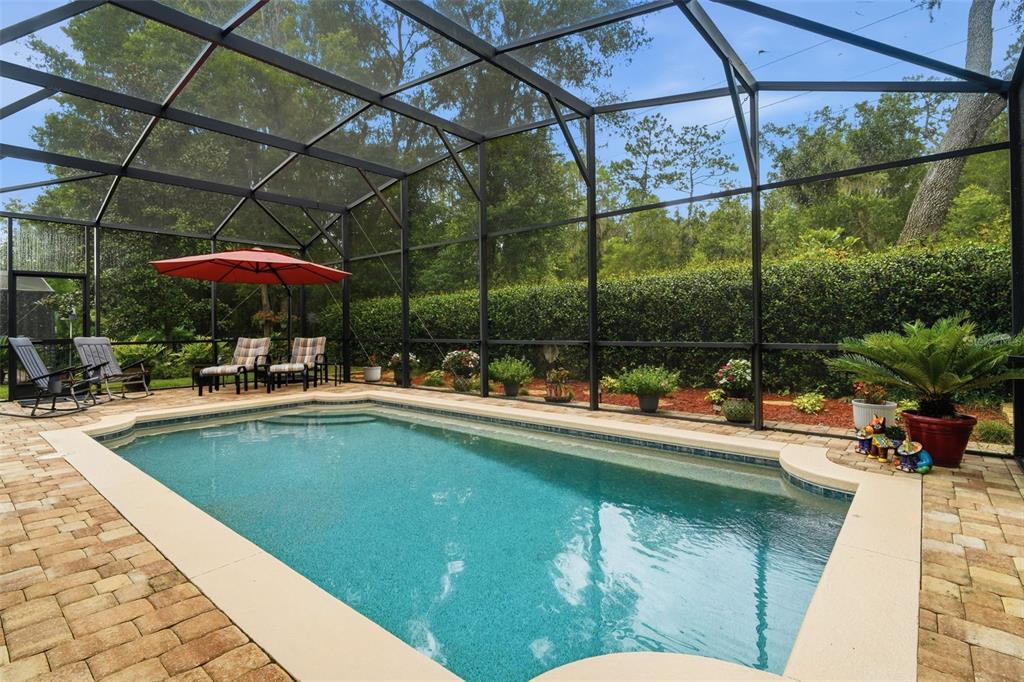 A screened-in swimming pool with a brick paver deck and patio furniture in a backyard — 517 MORGAN WOOD DRIVE, DELAND, FL