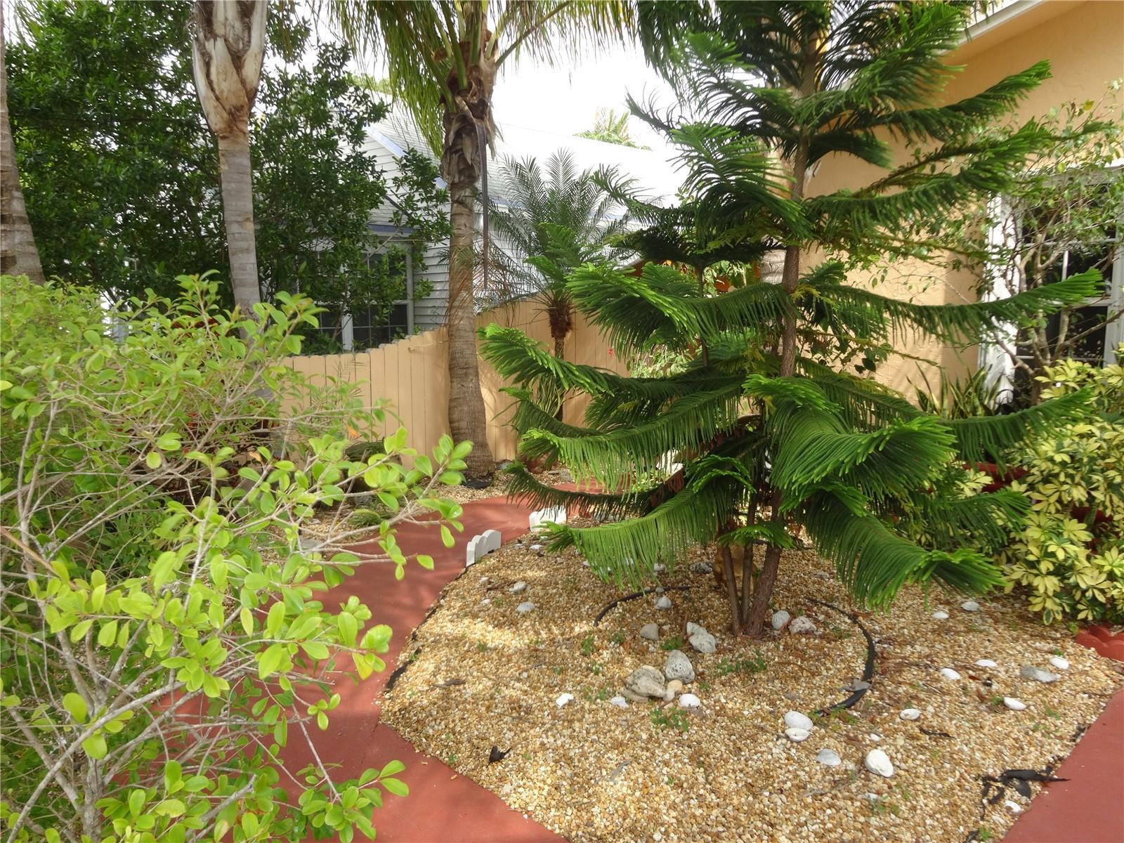 A landscaped yard features a Norfolk Island pine, palm trees, and a gravel garden bed — 31 SE 13th Street # 2, Dania Beach FL 33004, DANIA BEACH, FL