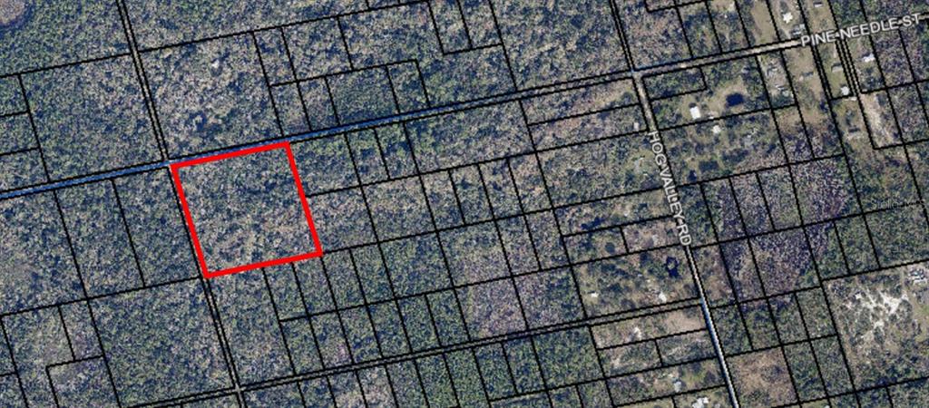 095 PINE NEEDLE ROAD, MIMS, FL — photo 3 of 3