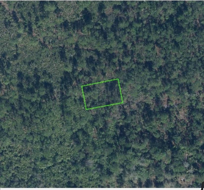 An aerial view shows a rectangular plot of land outlined in green amidst dense forest — 4401 OBISPO AVENUE, SEBRING, FL