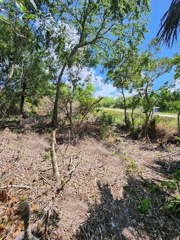 A view of a wooded, undeveloped lot with scattered brush and trees under a blue sky — 2801 Satellite Blvd., Cocoa FL 32926, COCOA, FL