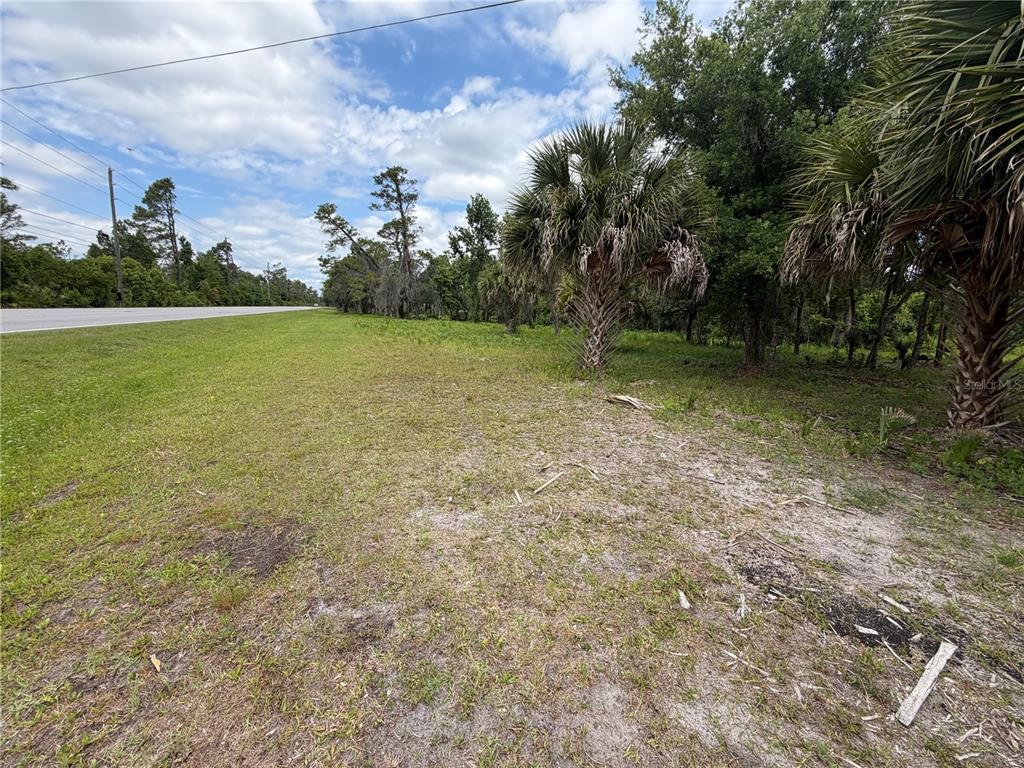 A grassy, partially wooded vacant lot sits adjacent to a paved road under a cloudy sky — 20981 FORT CHRISTMAS ROAD, CHRISTMAS, FL