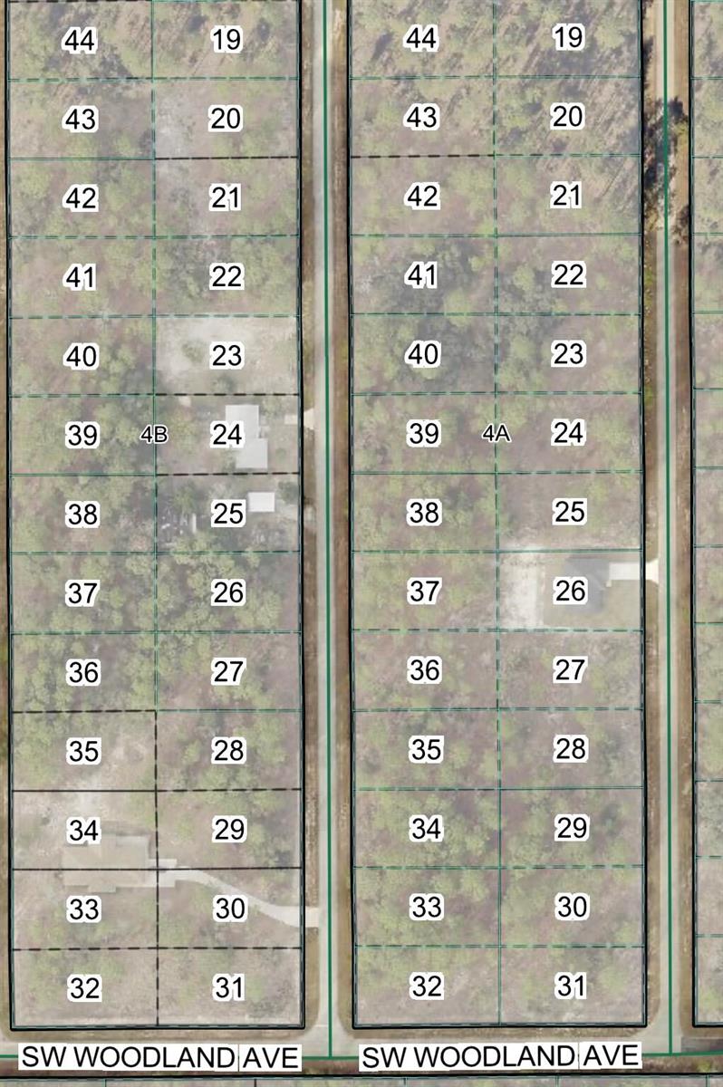 This is an aerial map showing a vacant lot outlined in red near a road — Tbd SW Buena Vista Road, FL 34431, FL