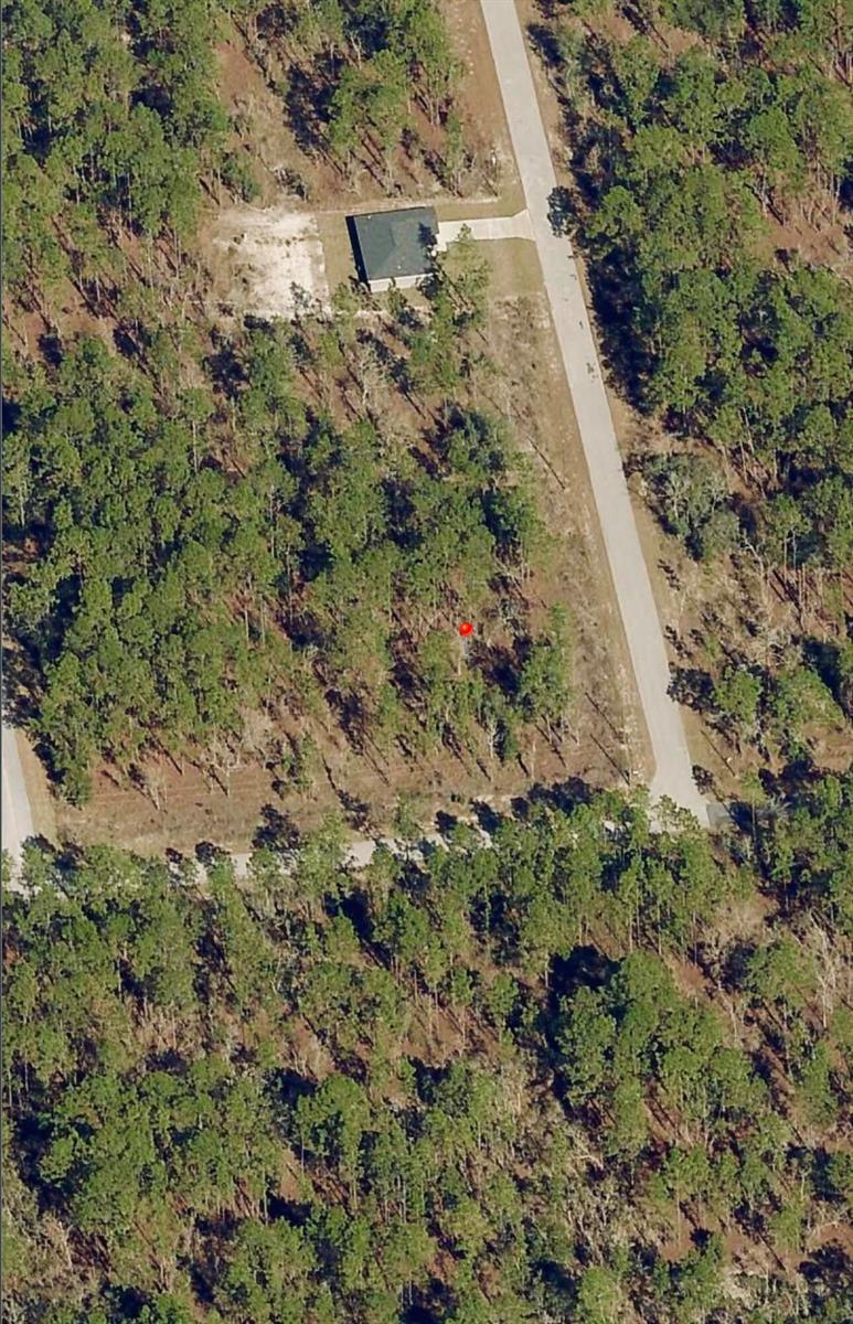 This is a satellite map view showing a vacant lot outlined in red — Tbd SW Buena Vista Road, FL 34431, FL