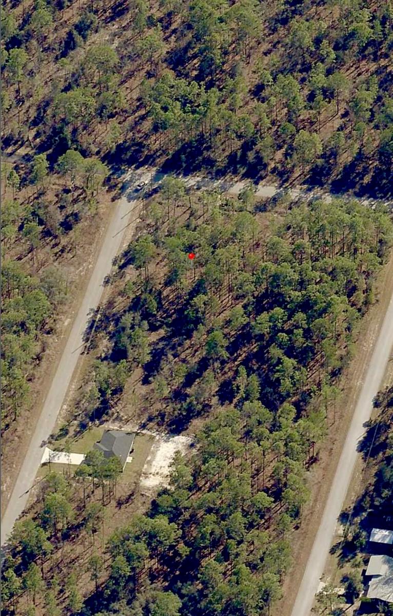 This aerial map shows two adjacent residential blocks divided into multiple lots along SW Woodland Ave — Tbd SW Buena Vista Road, FL 34431, FL
