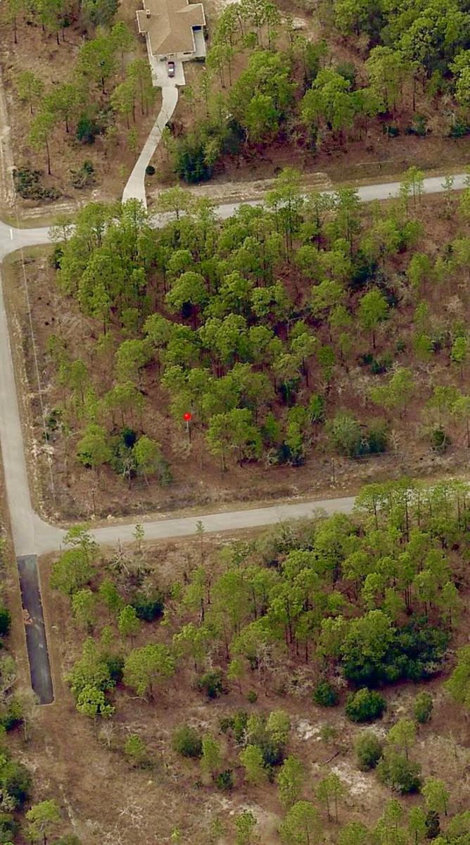 An aerial view shows a wooded, undeveloped residential lot with a red marker — Tbd SW Buena Vista Road, FL 34431, FL