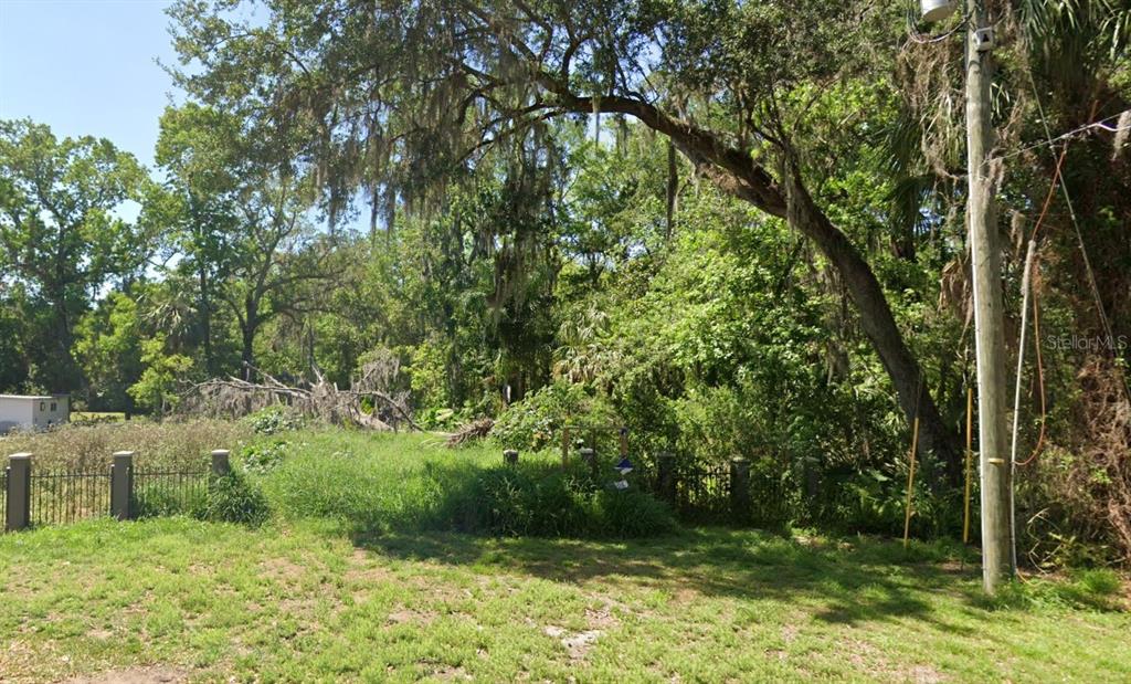 A grassy lot features a metal fence and dense trees with hanging Spanish moss — 28915 HUBBARD STREET, LEESBURG, FL