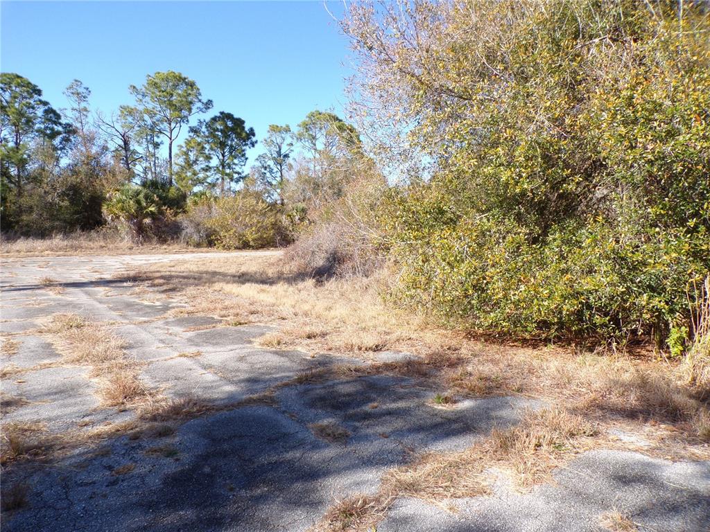 A paved, weathered lot is surrounded by overgrown trees and dry brush under a sky — HASTINGS STREET, NORTH PORT, FL
