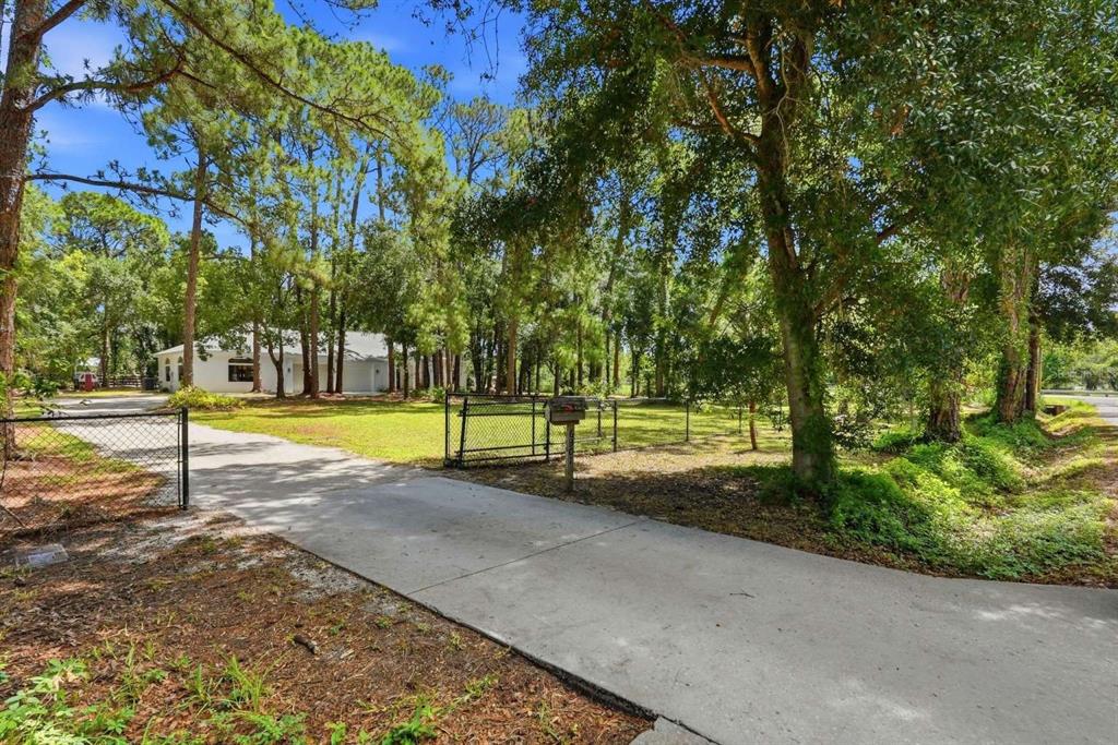 A concrete driveway leads to a white house surrounded by trees behind a chain-link fence — 6301 S 86TH AVENUE N, PINELLAS PARK, FL