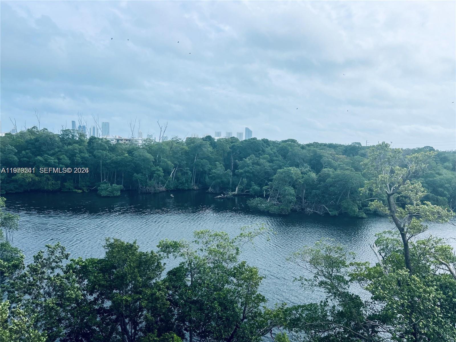 A view of a dark river bordered by dense green trees with a city skyline — 16385 Biscayne Blvd # 421, North Miami Beach FL 33160, NORTH MIAMI BEACH, FL