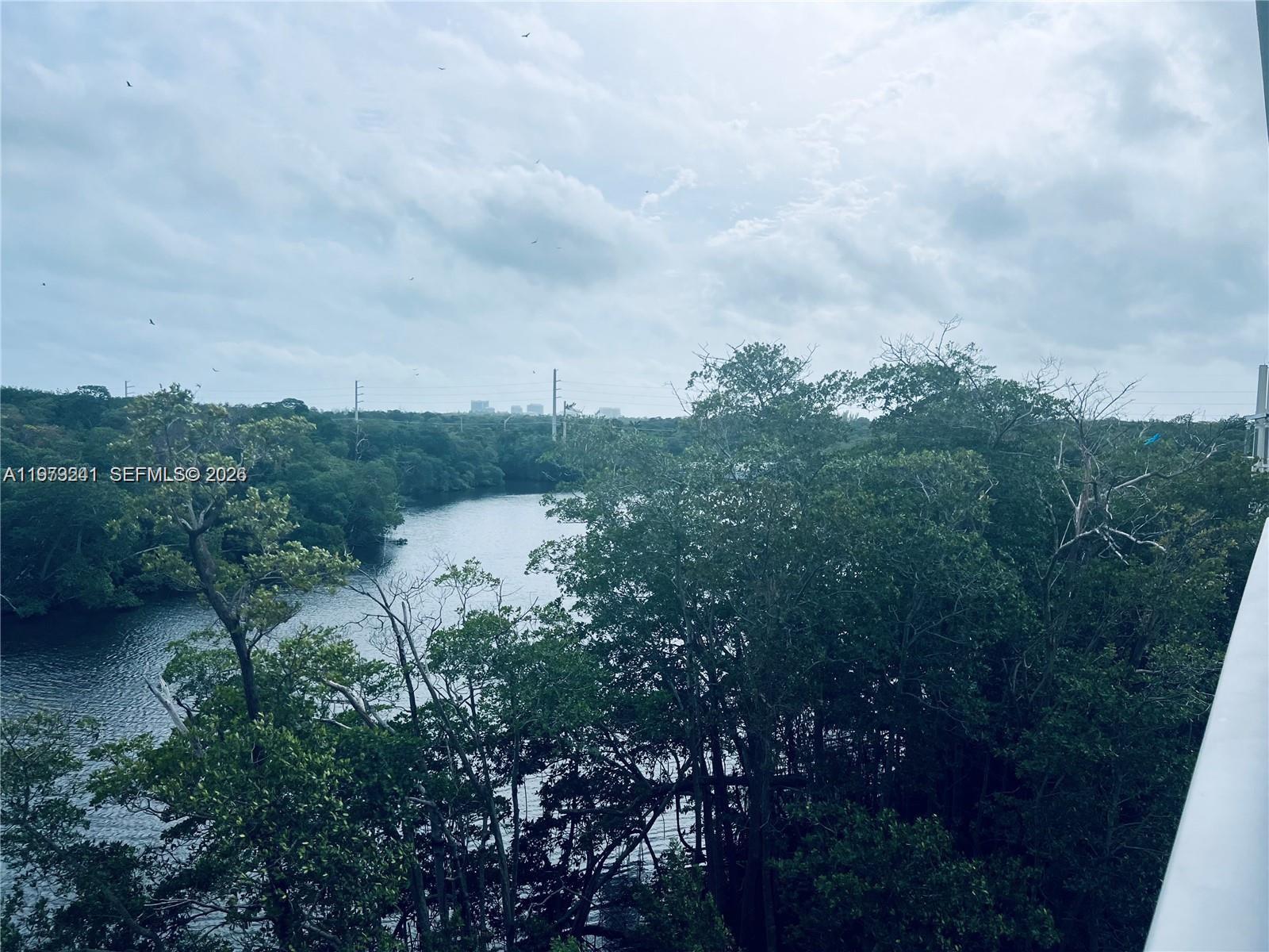 A view of a river winding through a dense forest under a cloudy sky — 16385 Biscayne Blvd # 421, North Miami Beach FL 33160, NORTH MIAMI BEACH, FL
