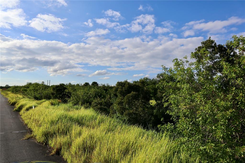 A paved road runs alongside a grassy field with dense trees under a cloudy sky — 1269 ROLAND STREET SW, PALM BAY, FL