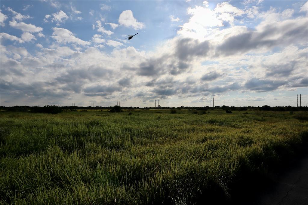 A wide, grassy field under a cloudy, sunlit sky with a bird flying overhead — 1269 ROLAND STREET SW, PALM BAY, FL