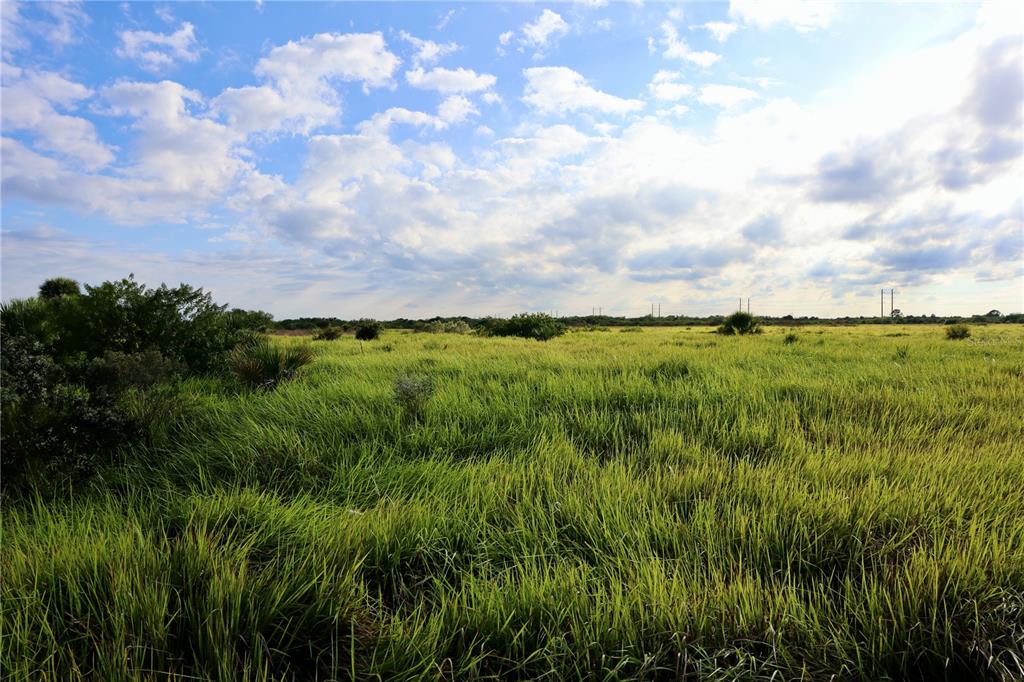 A wide, grassy field stretches toward a distant tree line under a cloudy blue sky — 1269 ROLAND STREET SW, PALM BAY, FL