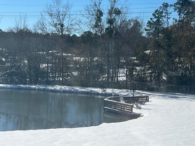 A snow-covered yard features a small pond with a wooden deck and a chain-link fence — 1347 WISHBONE ROAD, CANTONMENT, FL