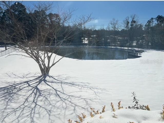 A snow-covered yard features a bare tree and a small pond under a clear sky — 1347 WISHBONE ROAD, CANTONMENT, FL