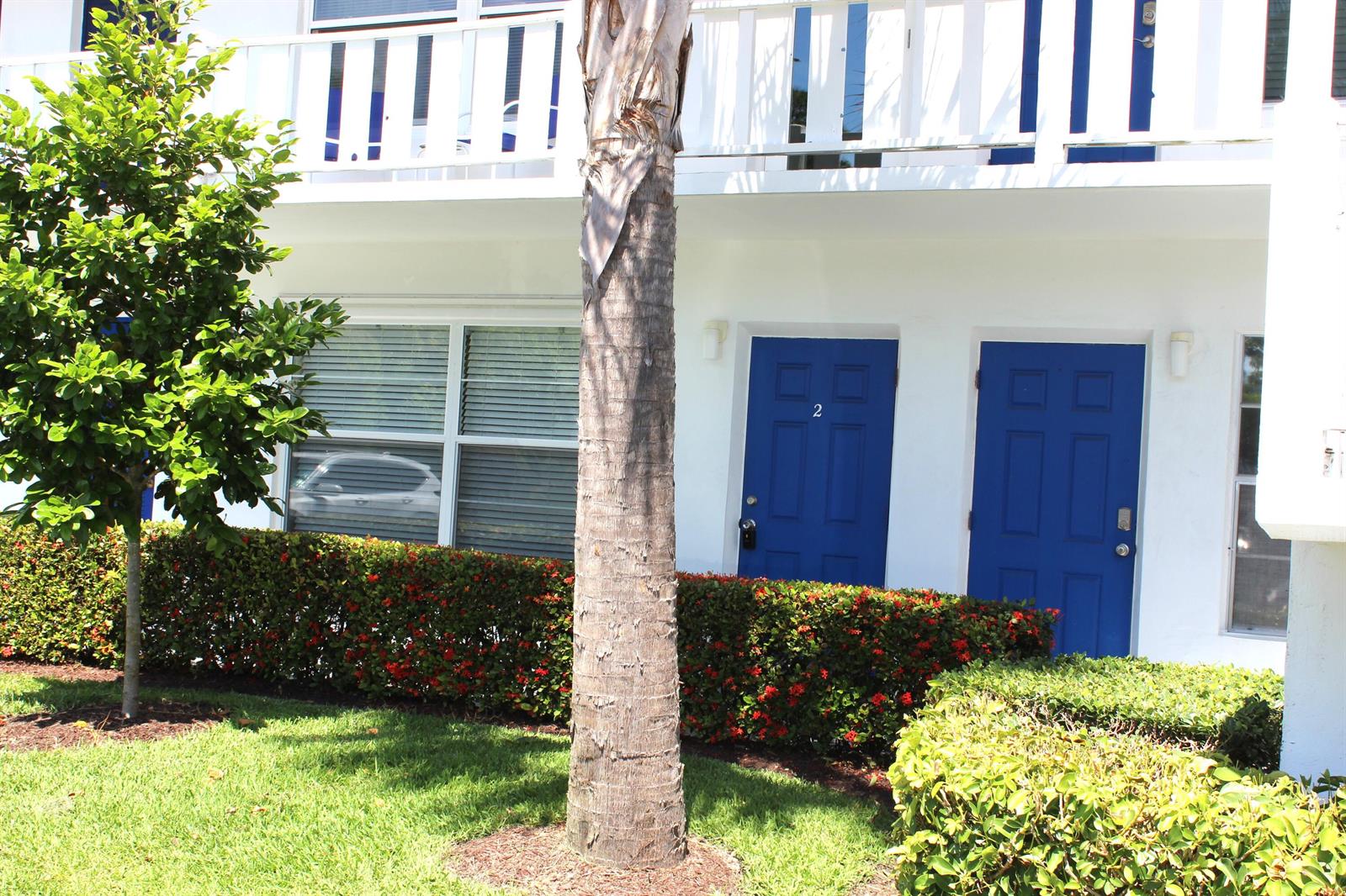 A white building exterior features two blue doors, a palm tree, and a green hedge — 2929 SE Ocean Boulevard # 2, Stuart FL 34996, STUART, FL
