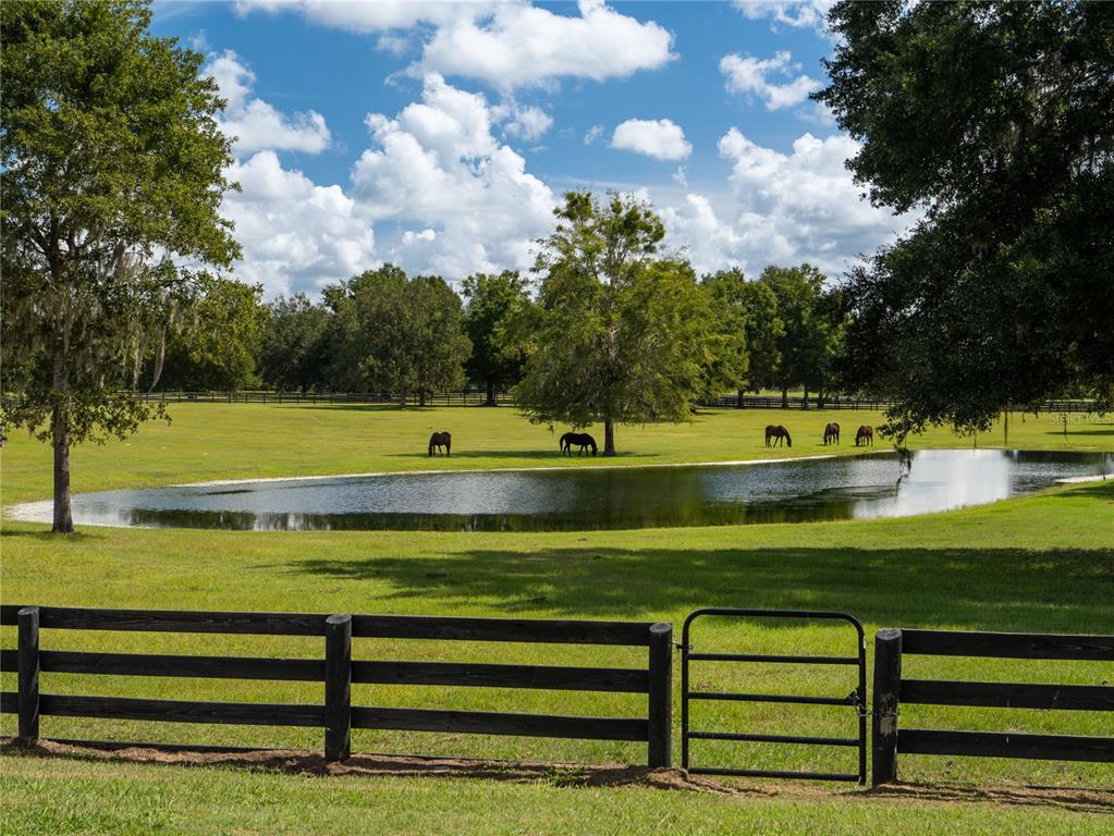 2875 NW 150 AVENUE, OCALA, FL — photo 5 of 30