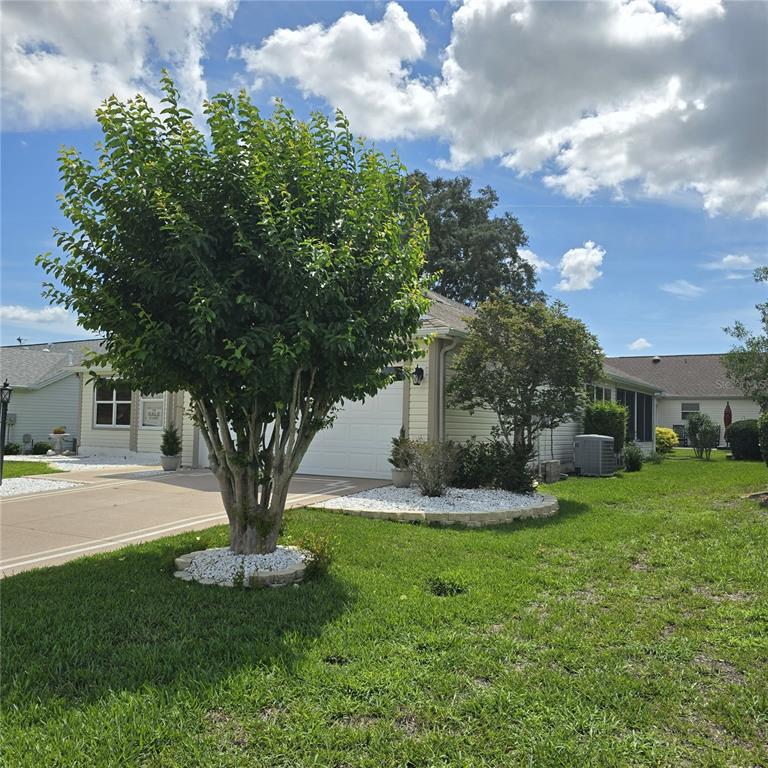 A single-story house exterior features a large tree in the front yard and white landscaping — 1417 VALPARAISO STREET, THE VILLAGES, FL