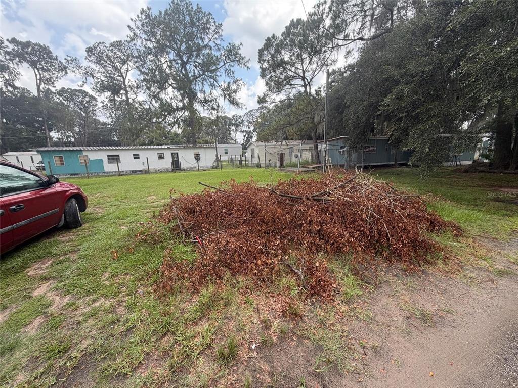 A large pile of brown, dried tree branches sits on a grassy lot near a car — 0 SUNSET CIRCLE, LAKE ALFRED, FL