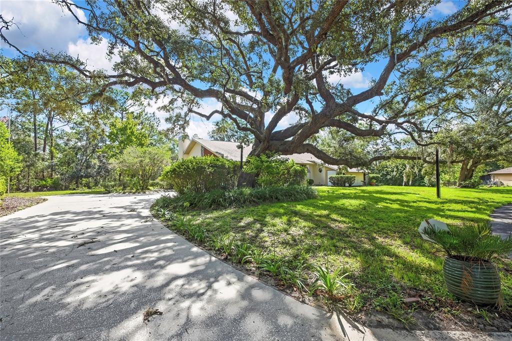 A large oak tree shades the front yard and driveway of a single-story house — 12 MAYFLOWER COURT E, HOMOSASSA, FL
