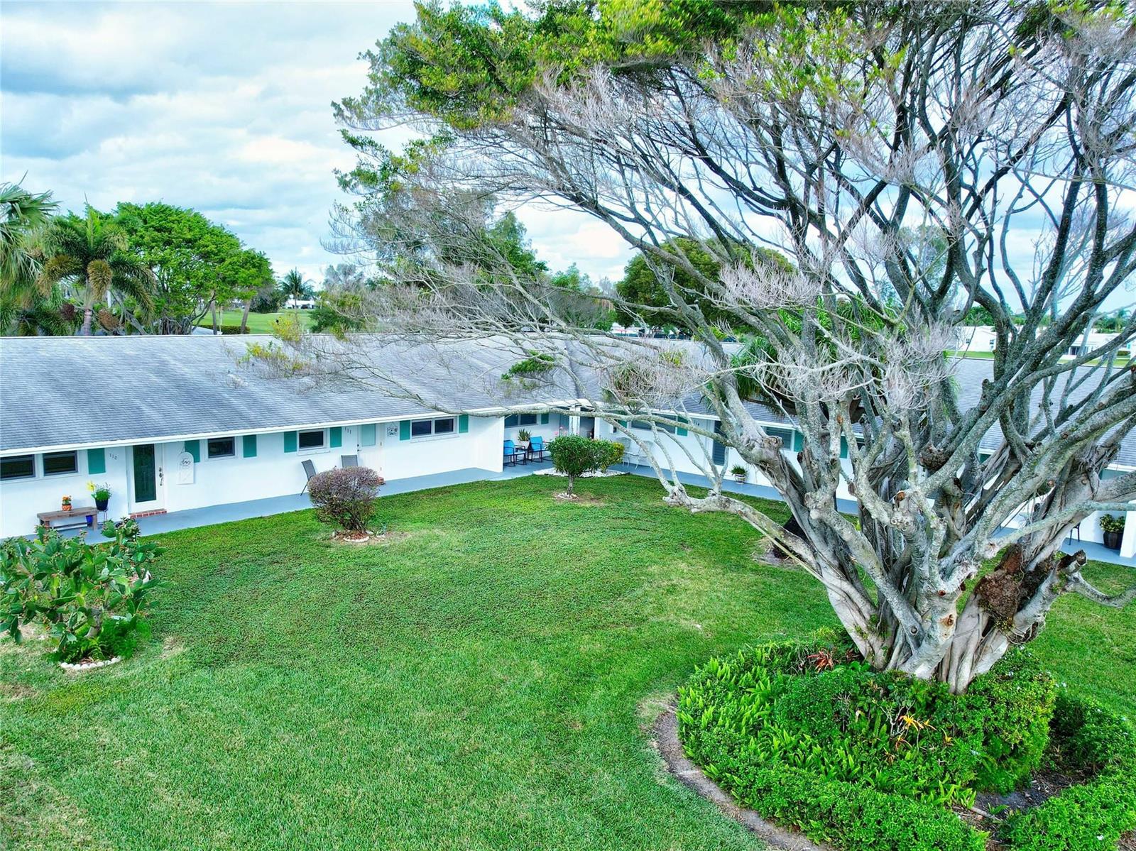 An exterior view of a single-story apartment building with a large tree and lawn — 400 SW Golfview Terrace # 111, Boynton Beach FL 33426, BOYNTON BEACH, FL