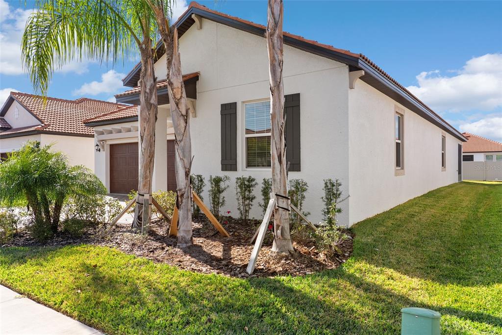 A single-story house with a white stucco exterior, brown roof, and two palm trees — 17335 HOLLY WELL AVENUE, WIMAUMA, FL