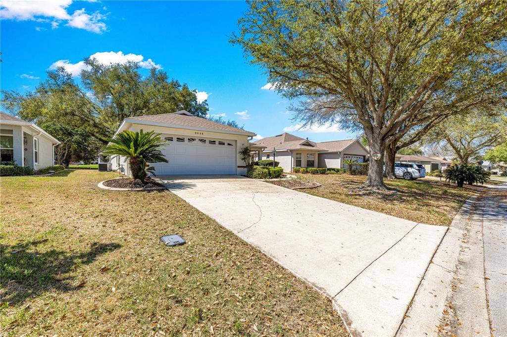 A single-story house with a white garage door and a concrete driveway under large trees — 9646 SW 92ND PLACE ROAD, OCALA, FL