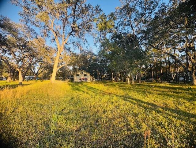 A small shed sits in the middle of a grassy, tree-filled lot — 17476 NICHOLAS AVENUE, BROOKSVILLE, FL
