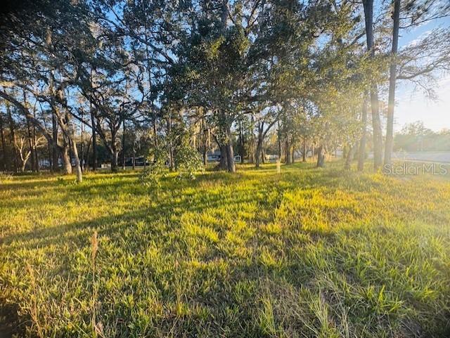 A grassy, sunlit lot is filled with mature trees and Spanish moss — 17476 NICHOLAS AVENUE, BROOKSVILLE, FL