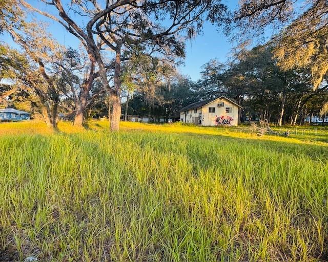 A weathered, graffiti-covered house stands in a grassy field surrounded by large, mossy oak trees — 17476 NICHOLAS AVENUE, BROOKSVILLE, FL