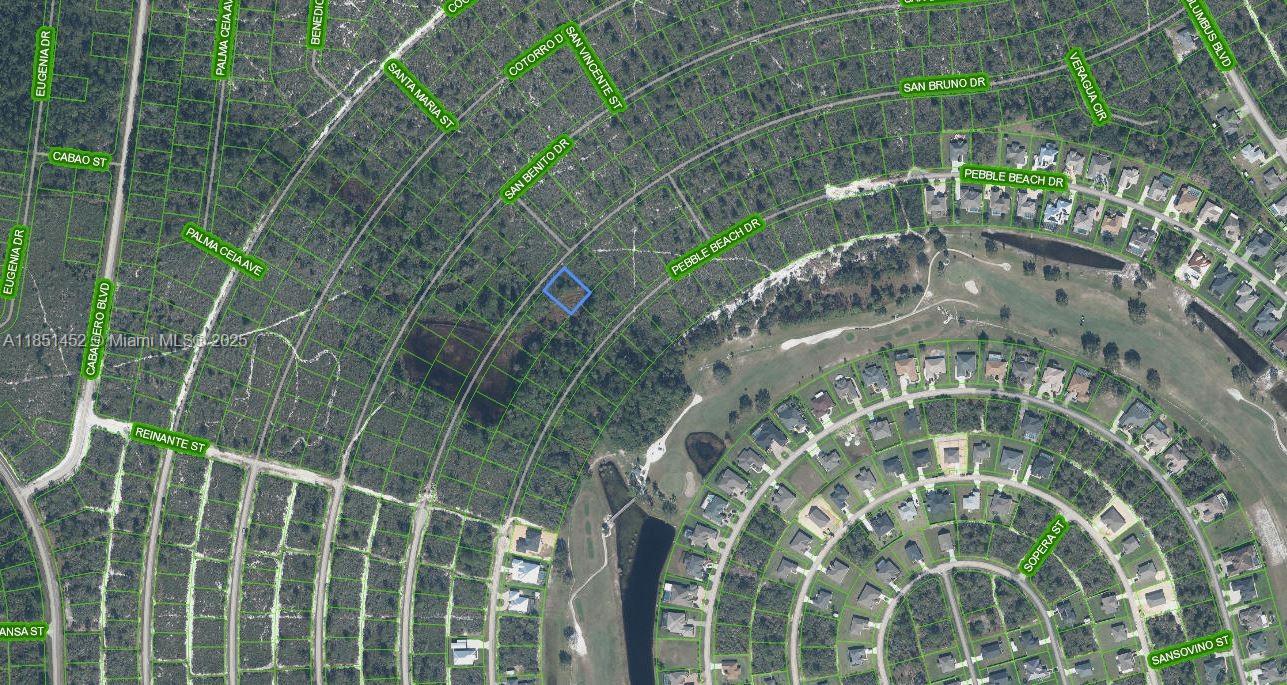 This is an aerial map showing a residential lot highlighted in blue — 6601 San Bruno Dr, Sebring FL 33872, SEBRING, FL