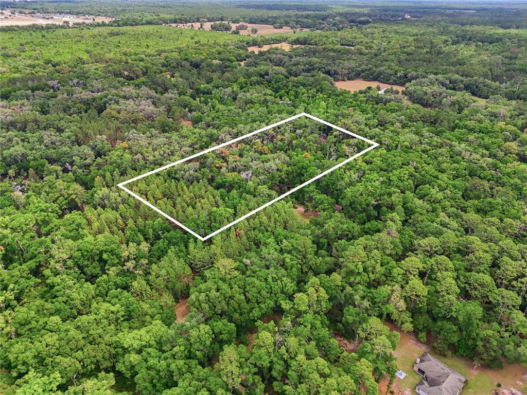 An aerial view shows a rectangular plot of land outlined in white amidst dense forest — 7911 SW 131ST TERRACE, ARCHER, FL