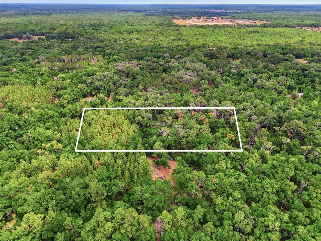 An aerial view shows a rectangular plot of land outlined in white amidst dense forest — 7911 SW 131ST TERRACE, ARCHER, FL