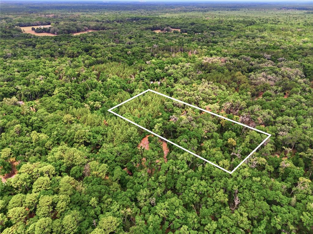 An aerial view shows a rectangular white outline marking a wooded plot of land — 7911 SW 131ST TERRACE, ARCHER, FL