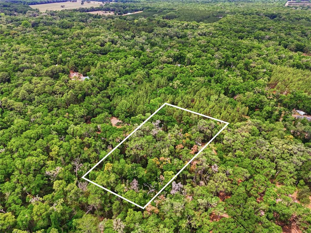An aerial view shows a rectangular plot of land outlined in white amidst dense forest — 7911 SW 131ST TERRACE, ARCHER, FL