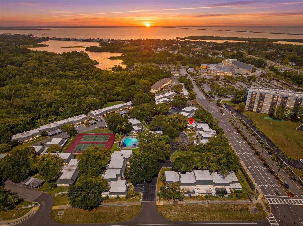 1227 N MCMULLEN BOOTH ROAD UNIT 1227