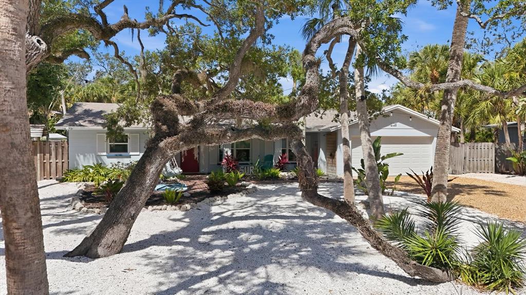 A single-story house with a white gravel yard and large, mature oak trees — 5128 OXFORD DRIVE, SARASOTA, FL