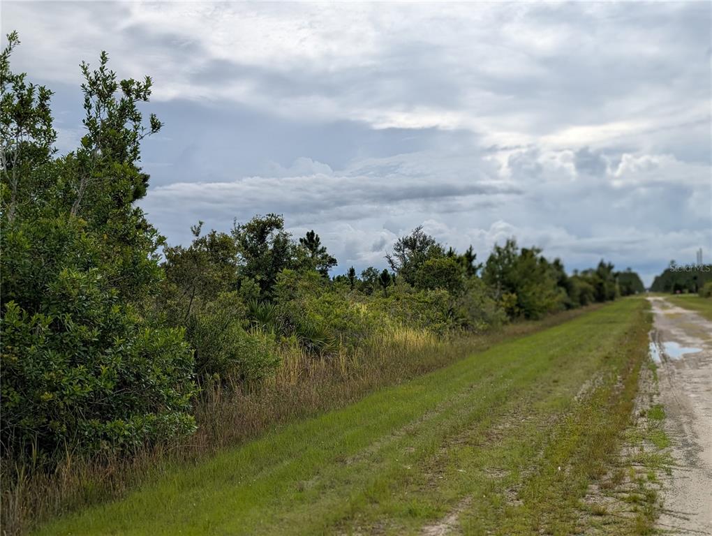 A dirt road runs alongside a grassy area bordered by dense trees and shrubs — 513 CALENDULA DRIVE, INDIAN LAKE ESTATES, FL