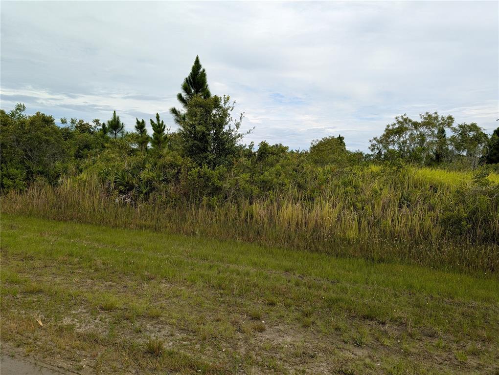 A grassy foreground leads to a dense area of shrubs and trees under a cloudy sky — 513 CALENDULA DRIVE, INDIAN LAKE ESTATES, FL