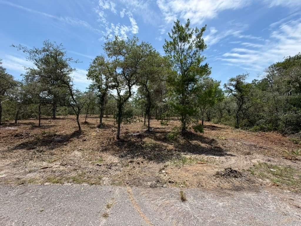 A vacant, partially cleared lot with scattered trees and shrubs borders a paved road — FISHER WAY TRACK, OCKLAWAHA, FL