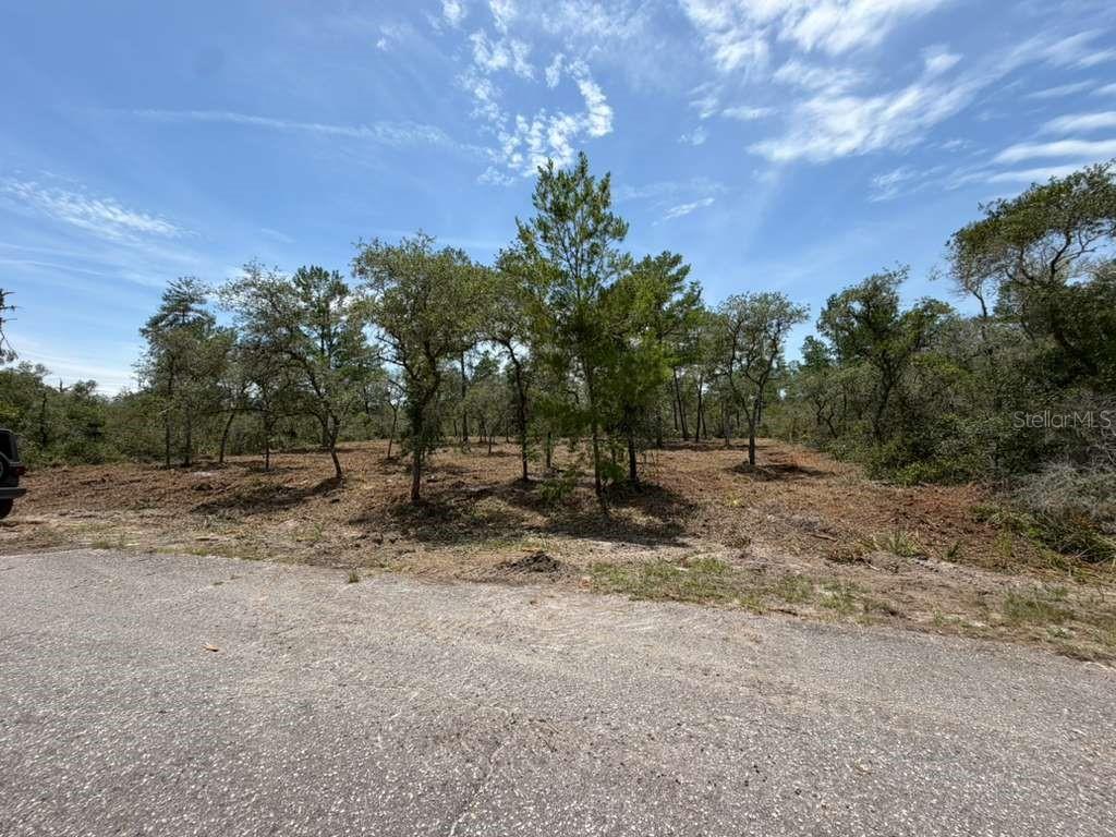 A vacant, partially cleared lot with scattered trees sits adjacent to an asphalt road — FISHER WAY TRACK, OCKLAWAHA, FL