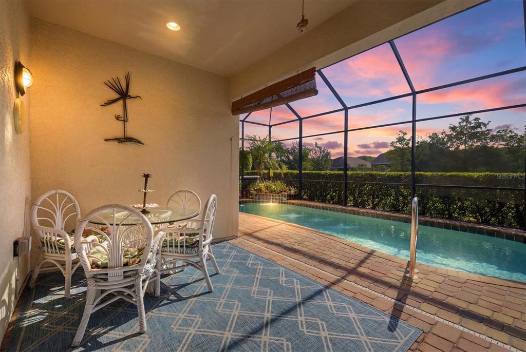 A covered patio features a dining set, a blue patterned rug, and a screened-in pool — 843 MOLLY CIRCLE, SARASOTA, FL