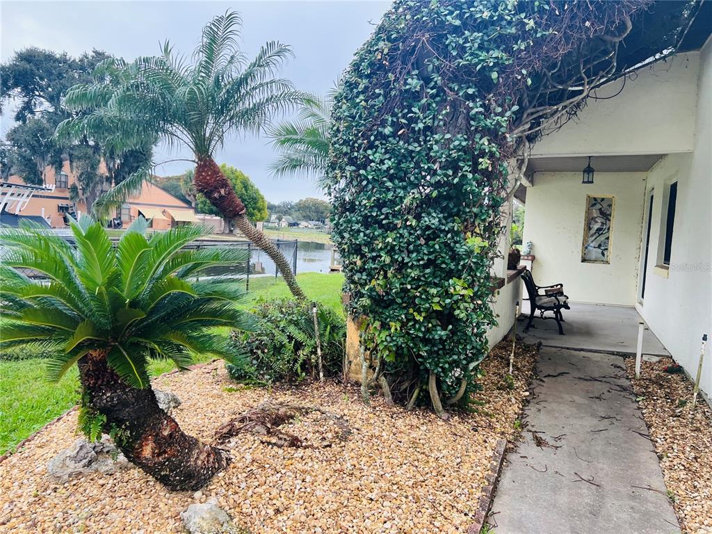 A walkway leads to a covered porch beside a palm tree and a vine-covered wall — 832 PALM HARBOR COURT, LEESBURG, FL
