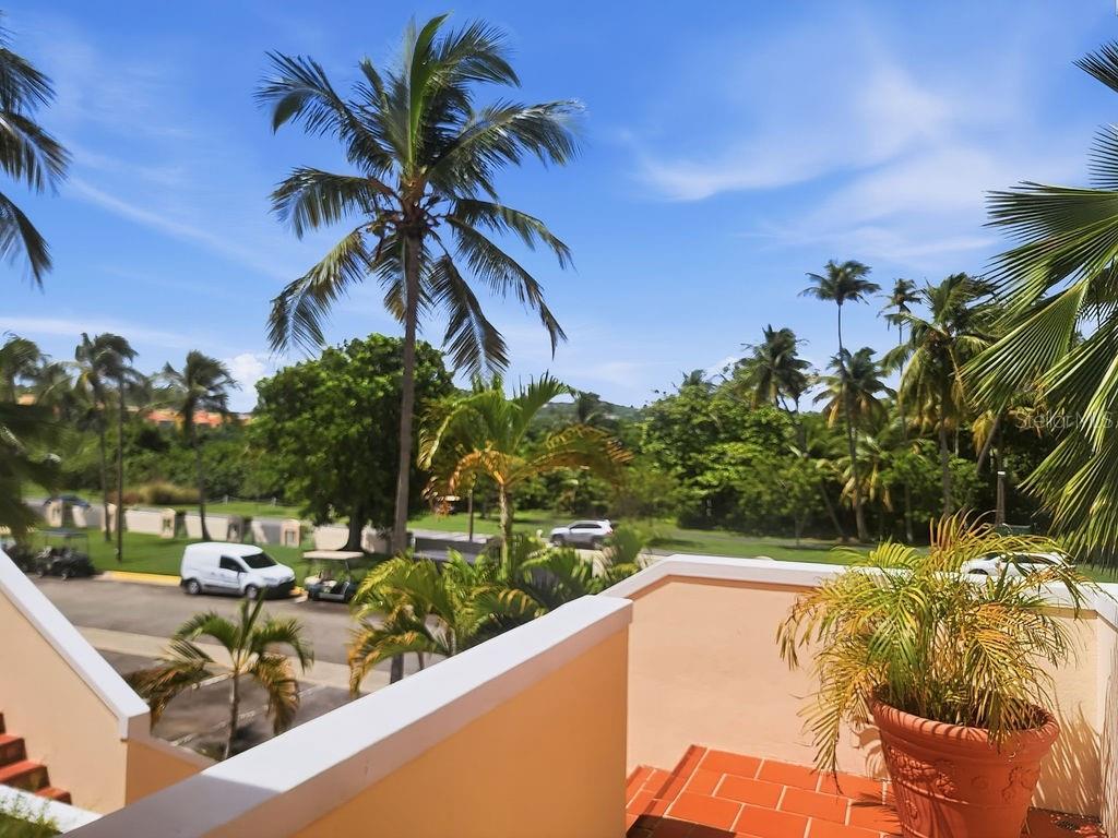 An elevated view from a balcony overlooking a parking area, palm trees, and lush greenery — 150 CANDELERO DRIVE UNIT 798, HUMACAO, PR