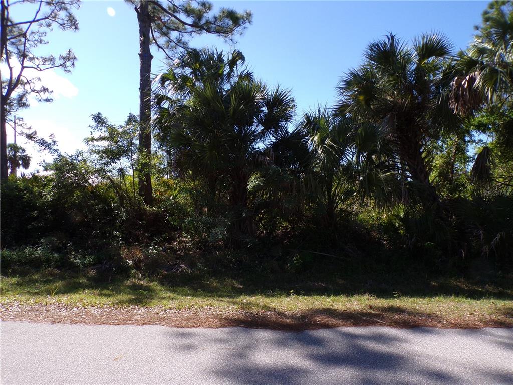 A view of a wooded, undeveloped lot with palm trees bordering an asphalt road — 26251 HAPSBURG ROAD, PUNTA GORDA, FL