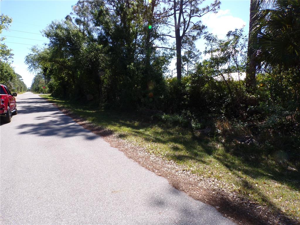 A paved road runs alongside a wooded lot with dense trees and vegetation — 26251 HAPSBURG ROAD, PUNTA GORDA, FL