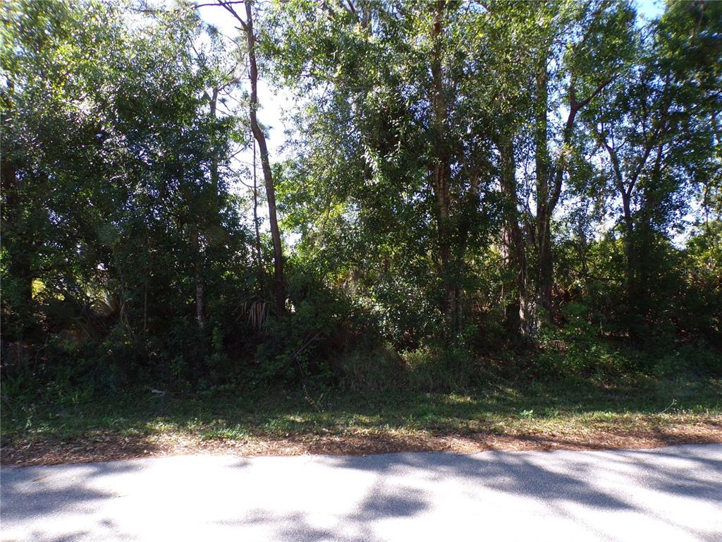 A view of a wooded, undeveloped lot from the edge of an asphalt road — 26251 HAPSBURG ROAD, PUNTA GORDA, FL
