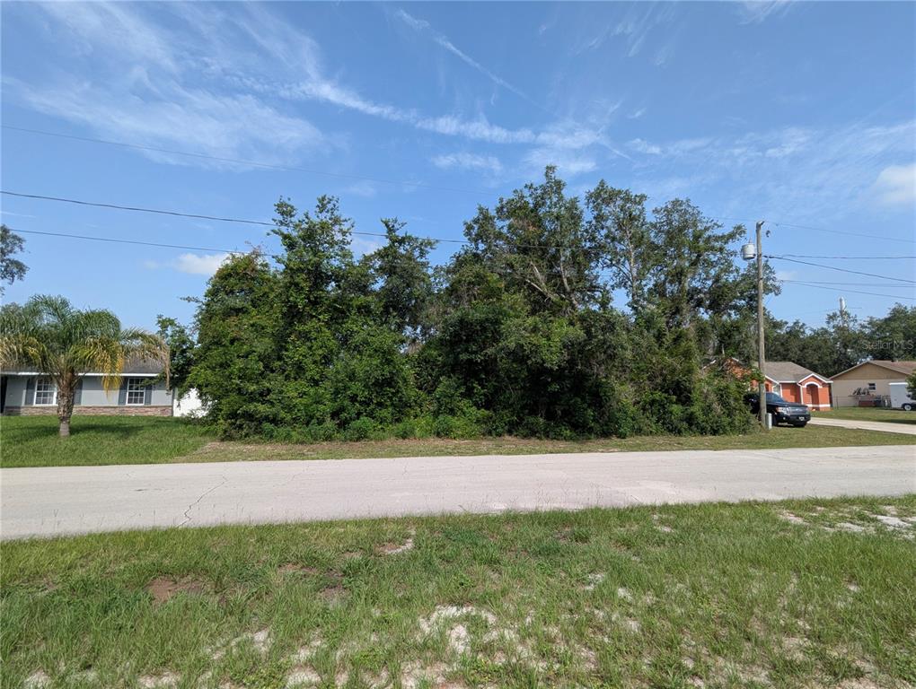 A vacant, tree-covered lot sits between two residential houses along a paved road — 2599 HILLVIEW CIRCLE, DELTONA, FL