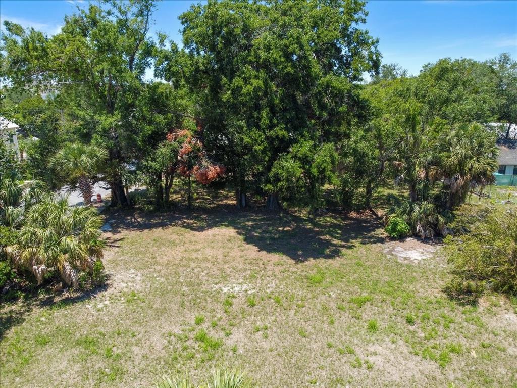 An elevated view of a vacant, grassy lot surrounded by mature trees and palm trees — 940 E 11TH AVENUE, TAMPA, FL